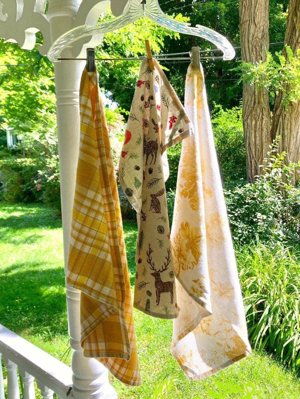 Trio of Cotton Dish Towels: 2 Ralph Lauren and 1 TAG